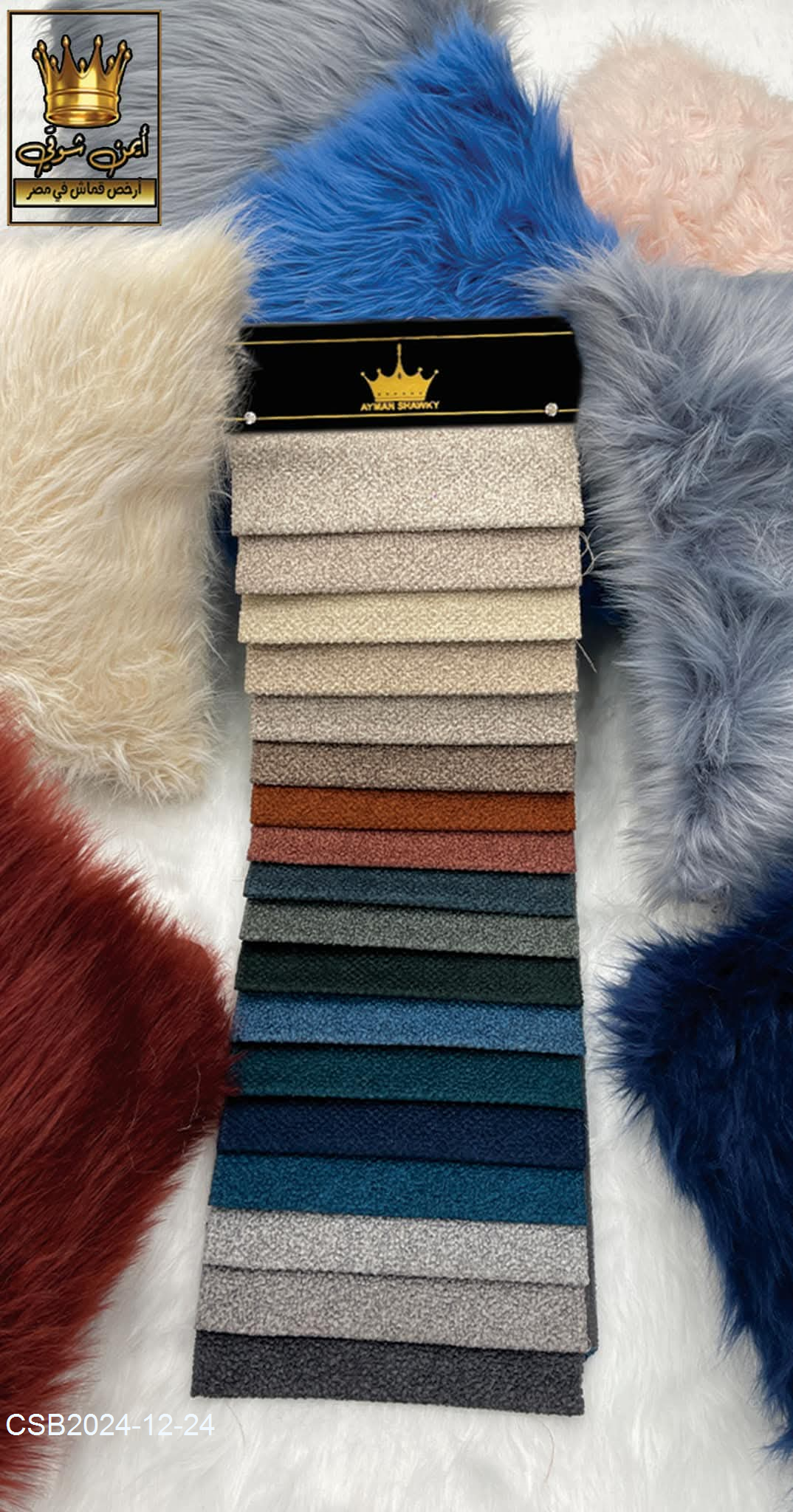 FB_IMG_173503510941020241224044517