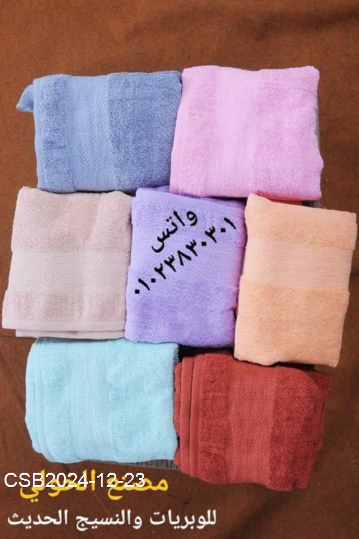 Messenger_creation_2165E84A-E933-41F5-A5FE-34DADBAB91A220241223040448