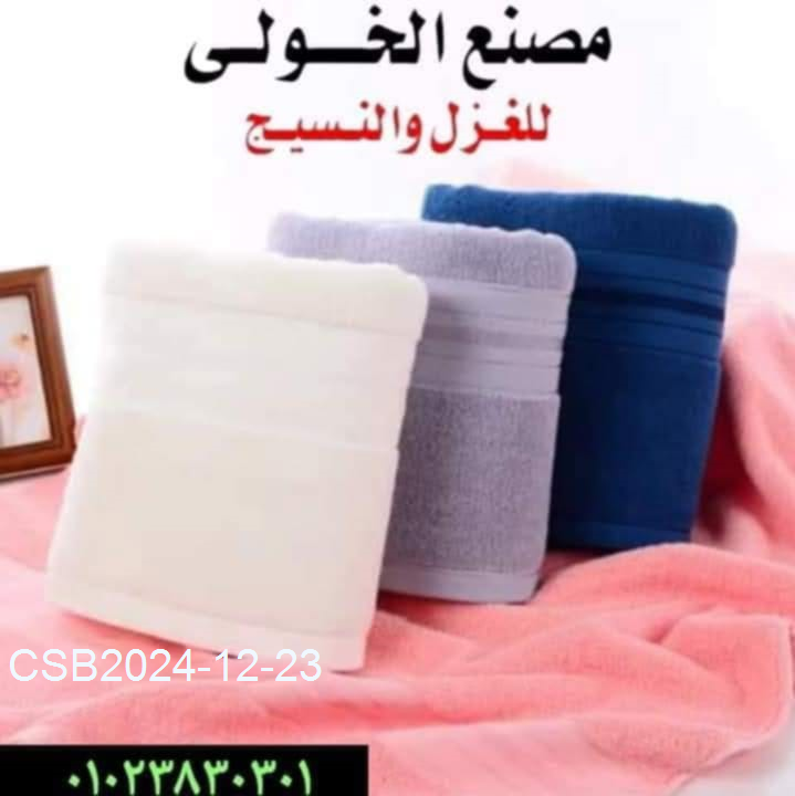 Messenger_creation_5ED8B4F5-01C4-48CE-A0FD-754F3E0BCFF020241223040448