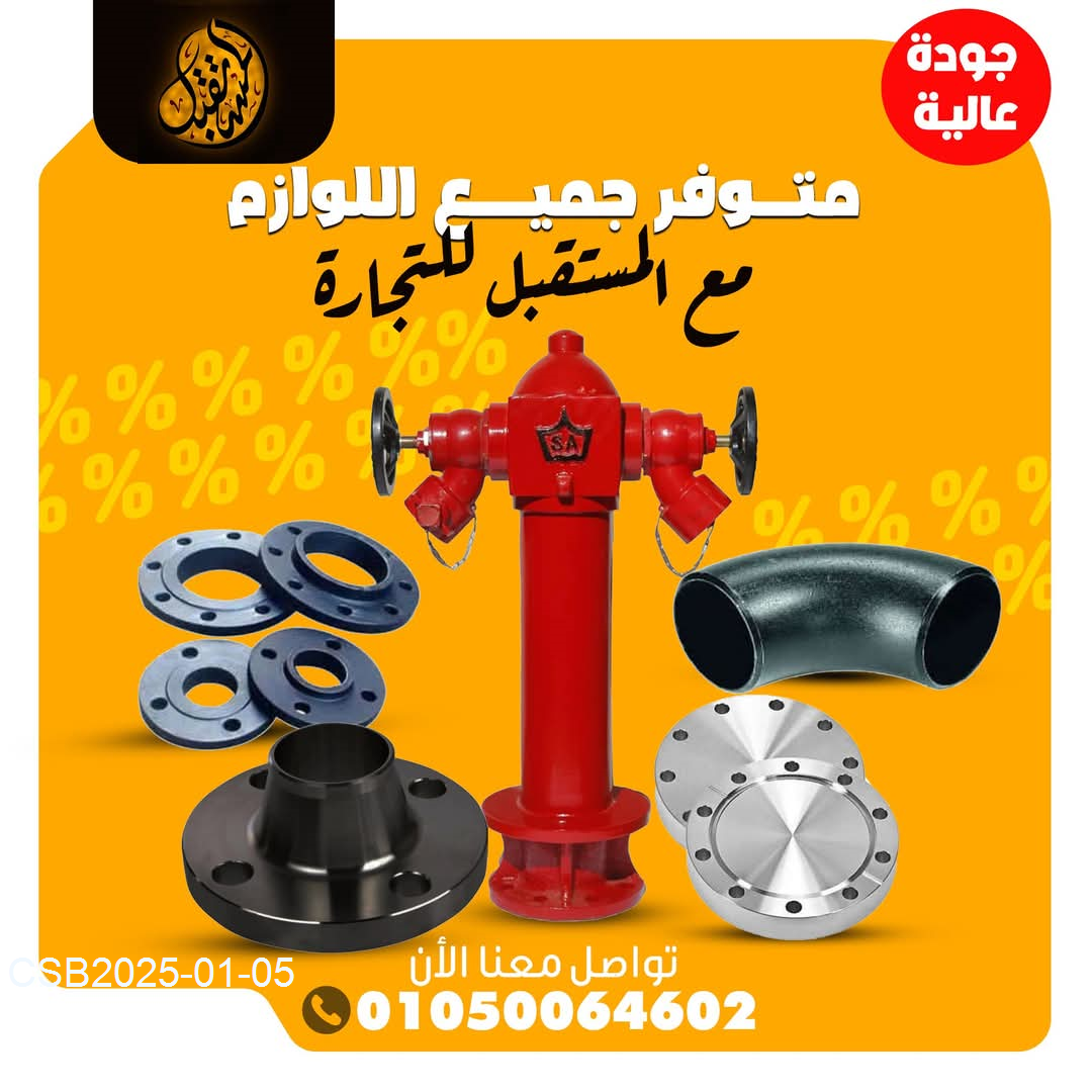 FB_IMG_173607777172120250105040033