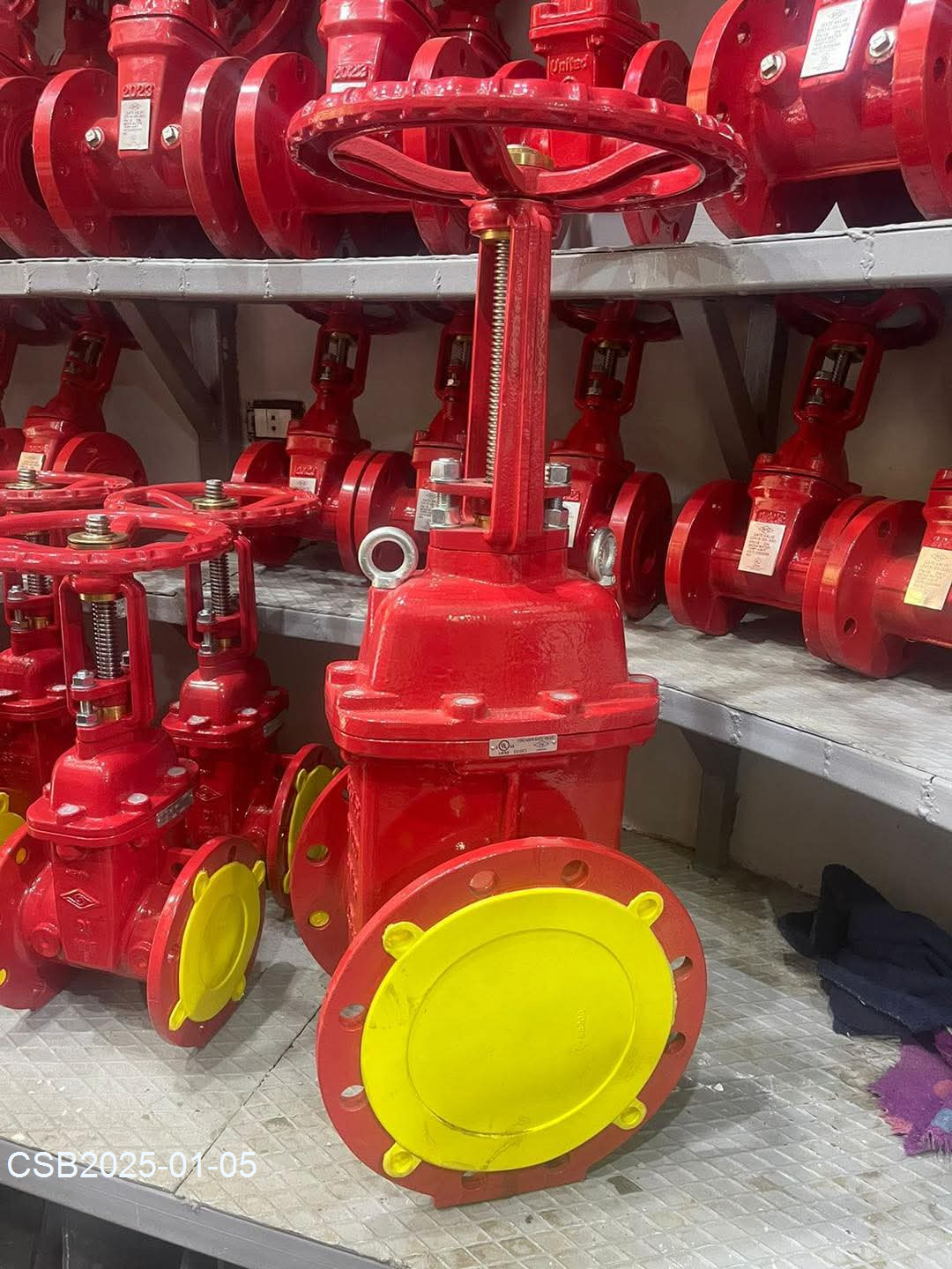 FB_IMG_173607781879320250105040032