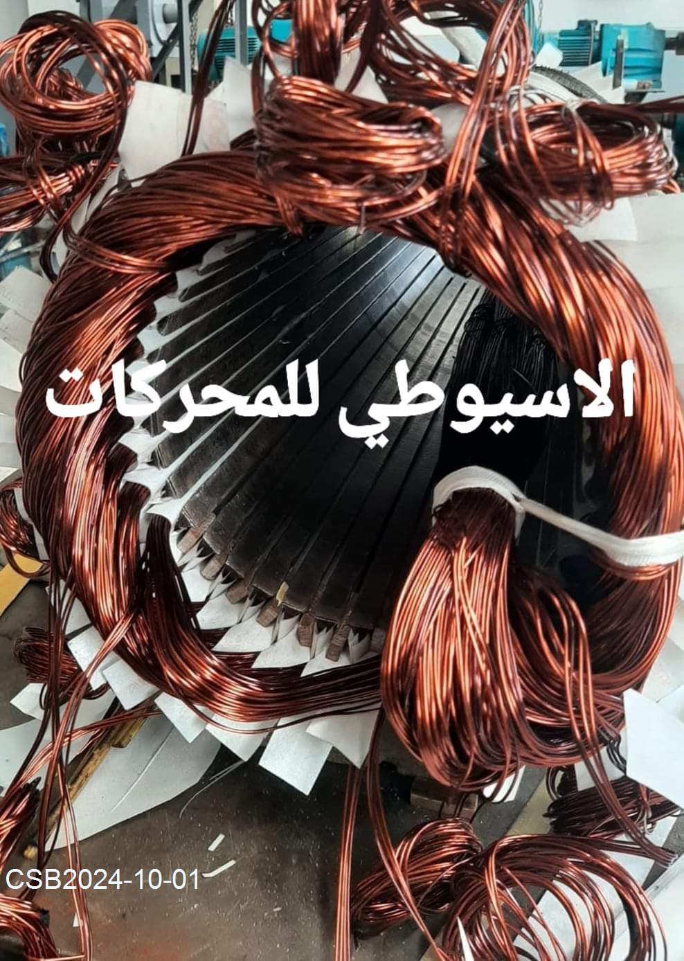 IMG-20240726-WA001220241001193453