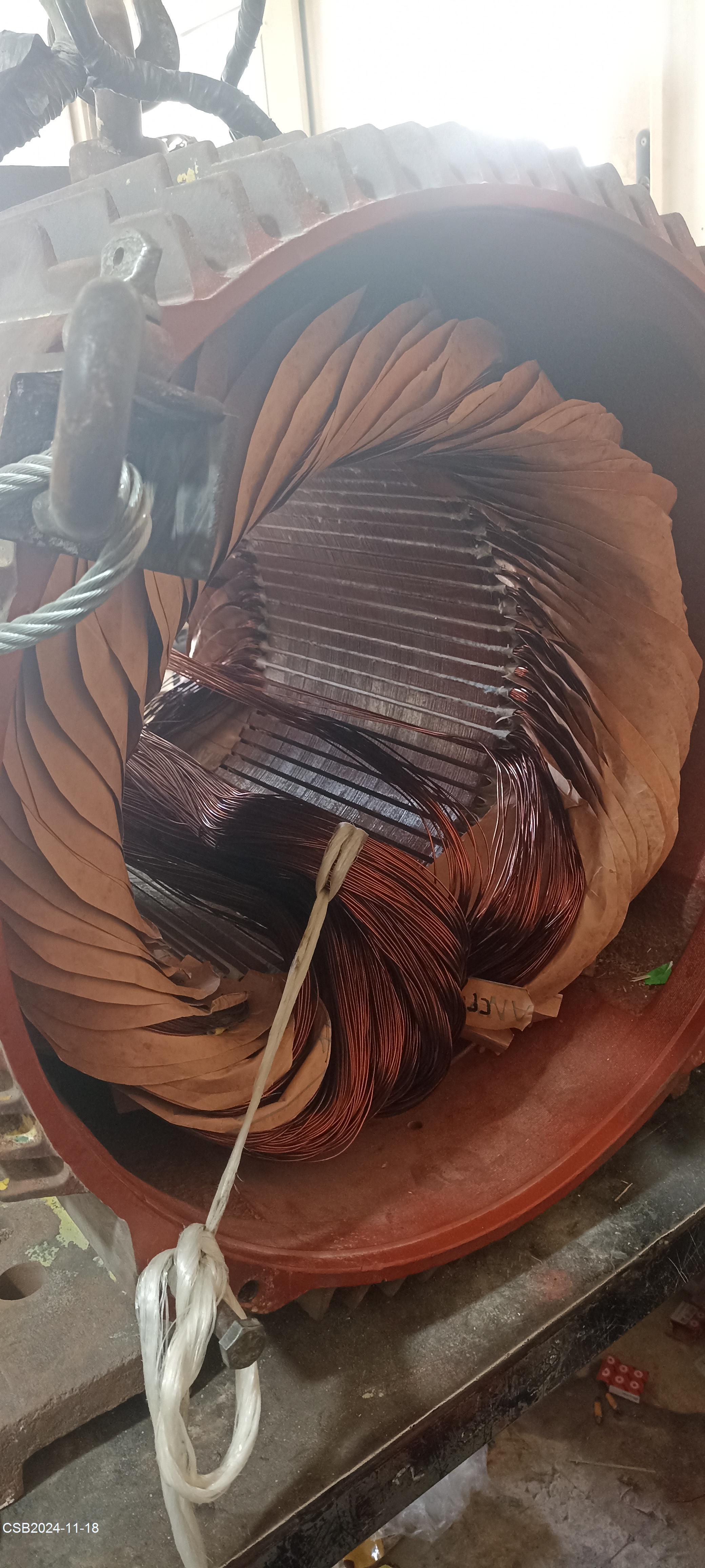 IMG_20241118_12474820241118025229