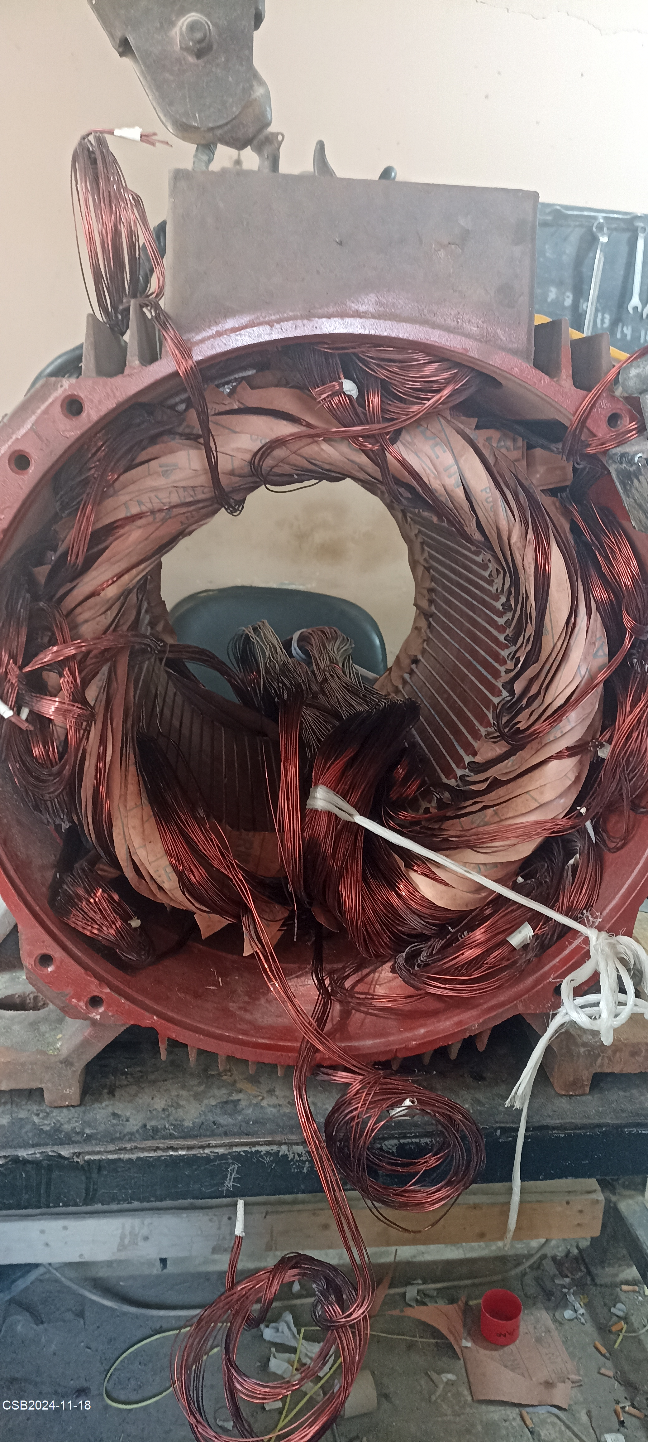 IMG_20241118_12480520241118025232