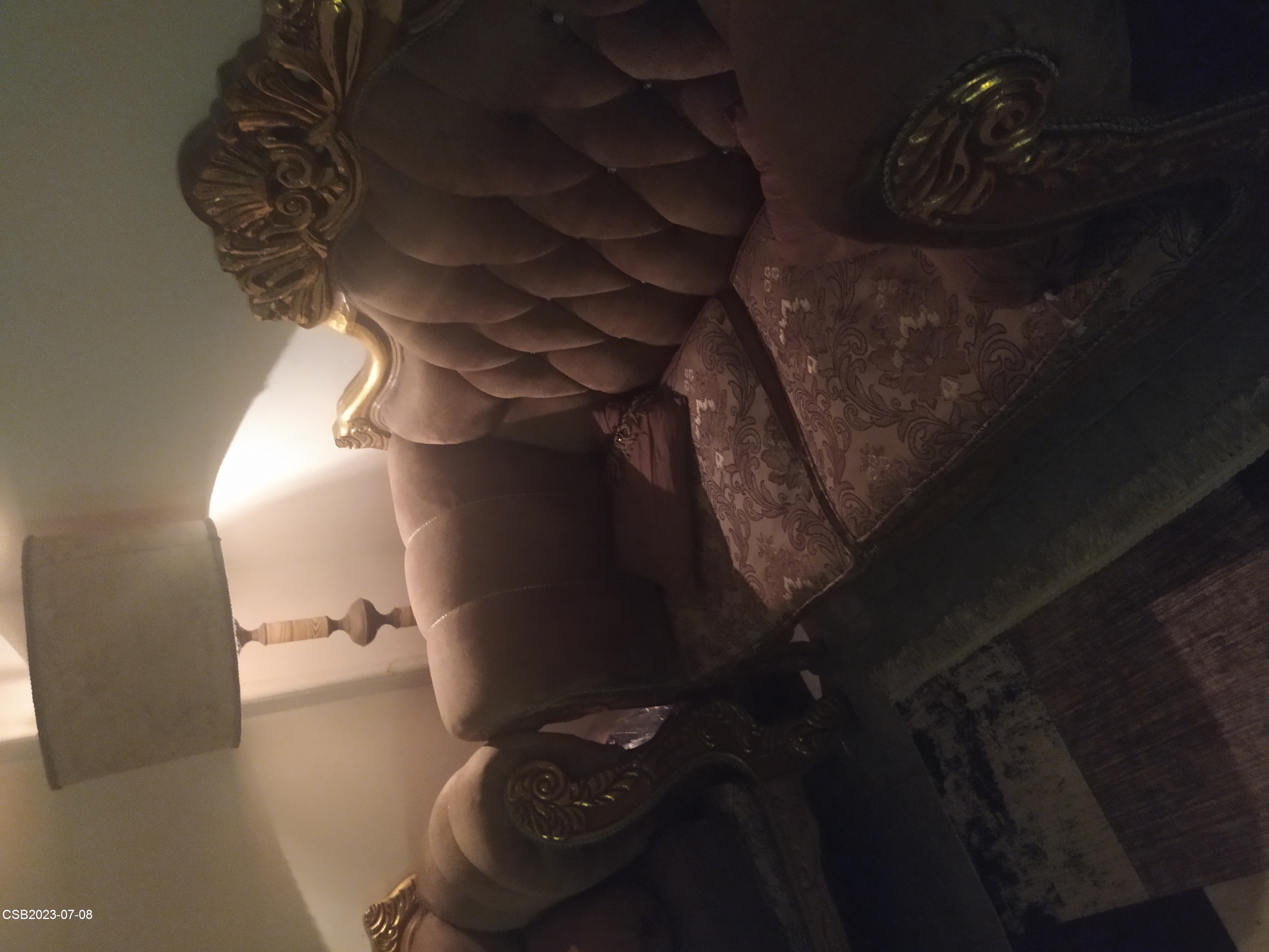 IMG_20230708_16204220230708073026