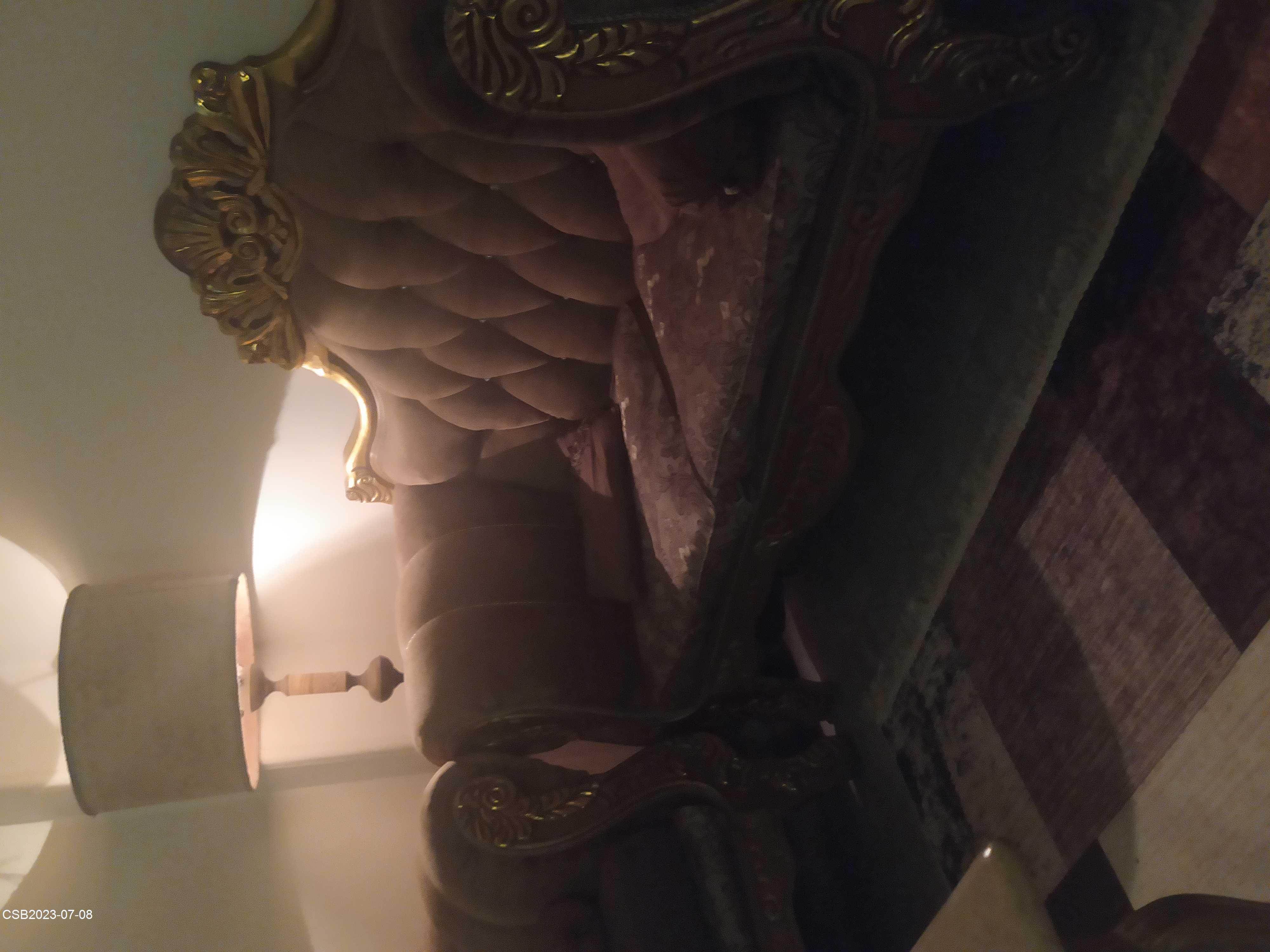 IMG_20230708_16225920230708073024