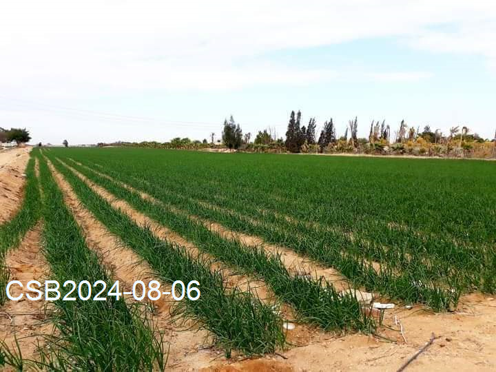 FB_IMG_172295946147620240806180640