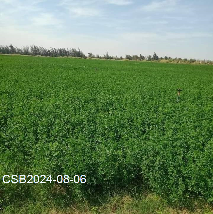 FB_IMG_172295946699820240806180640