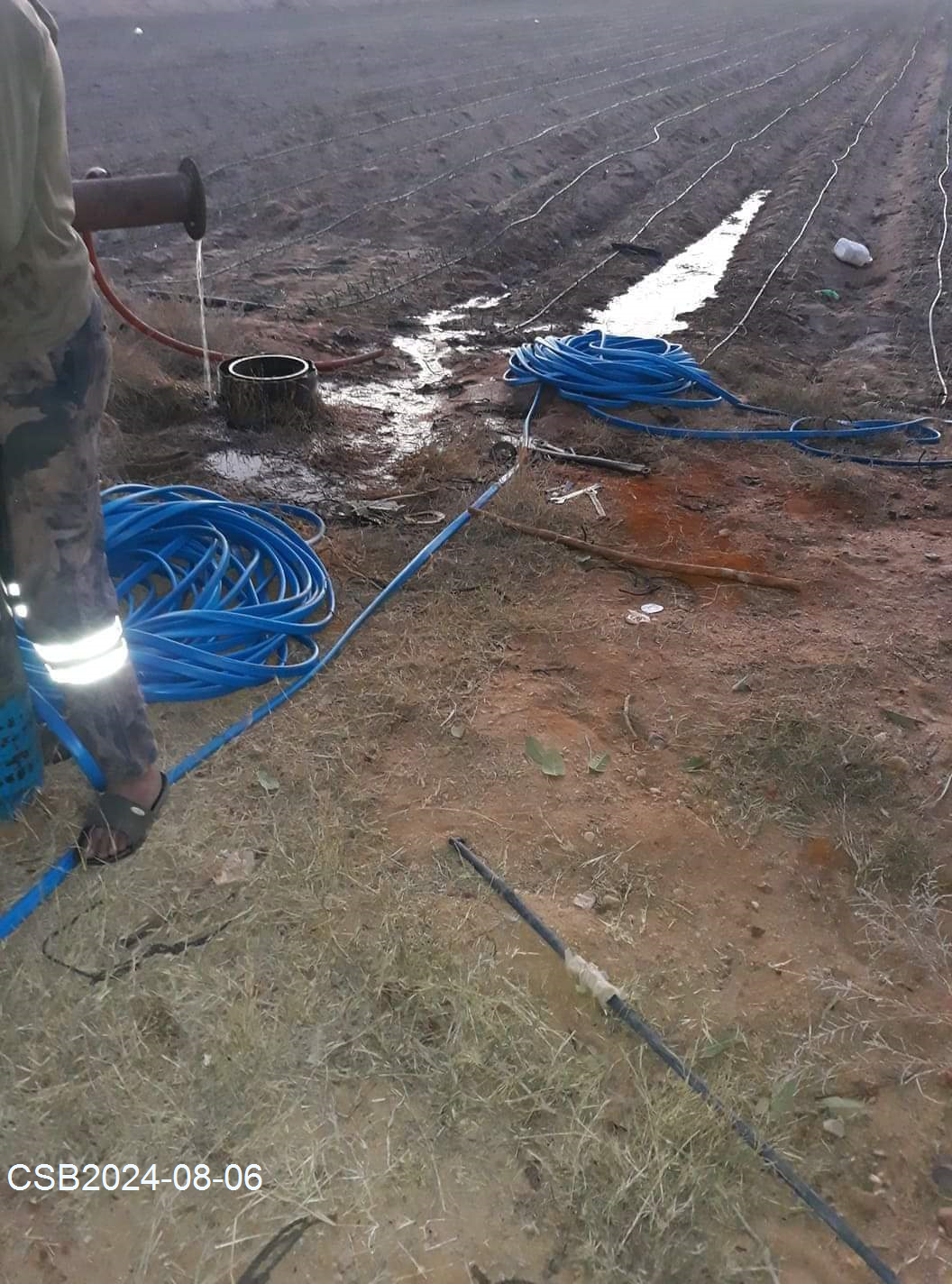 FB_IMG_172295947198420240806180640