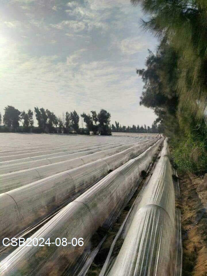 FB_IMG_172295947678120240806180640