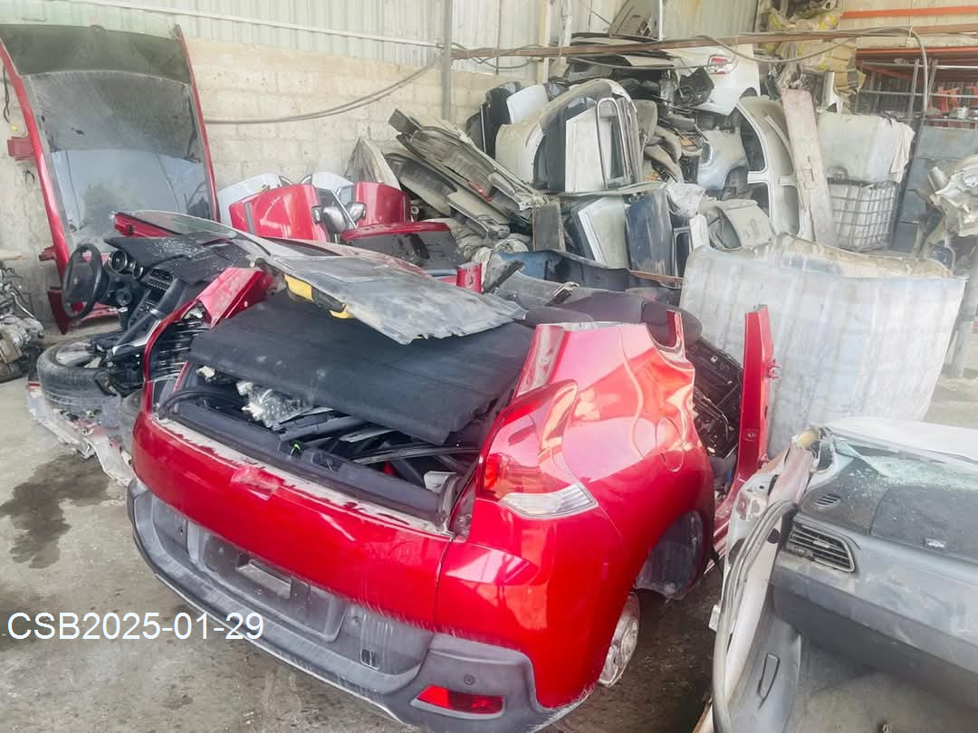 FB_IMG_173821835470820250129223307