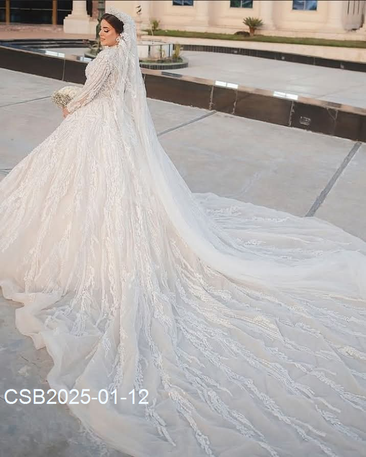 FB_IMG_173668291376820250112040159