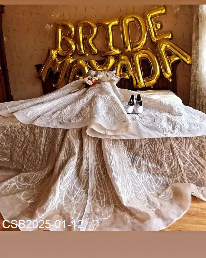 FB_IMG_173668293616020250112040159