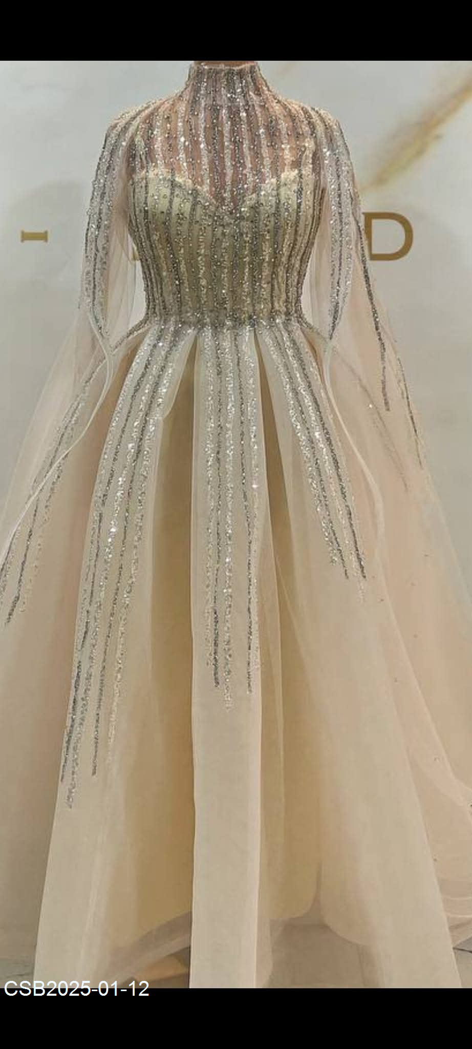 FB_IMG_173668382773620250112042444