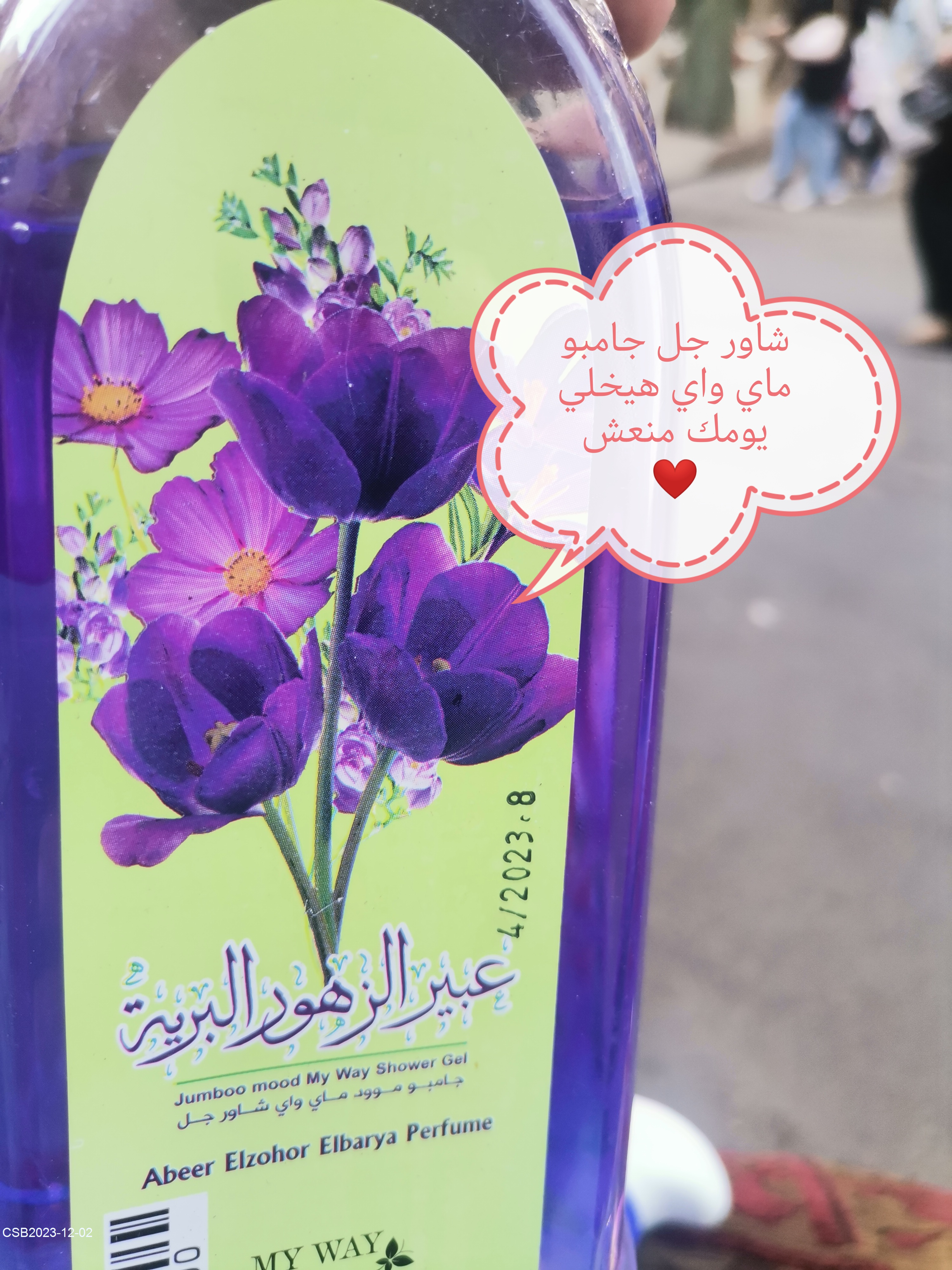 IMG_20230512_172716_edit_5674602415644520231202141852